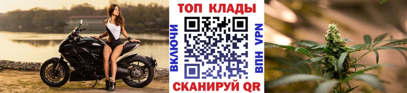 ГАШ Кириши