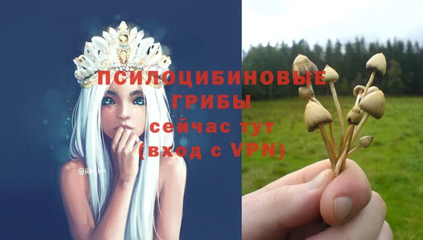 гидропоника Дмитриев