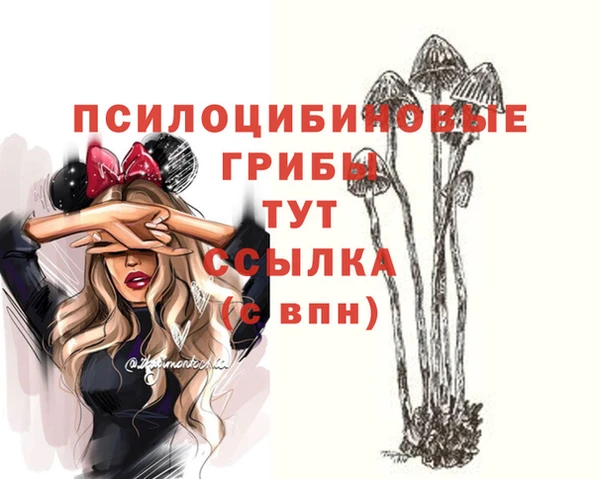 марихуана Дмитровск
