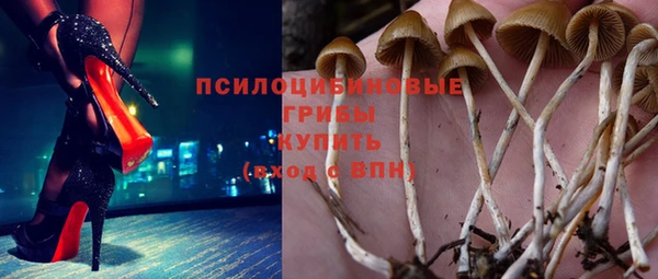 jwh Дмитров