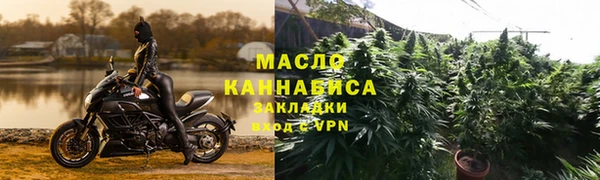 гидропоника Дмитриев