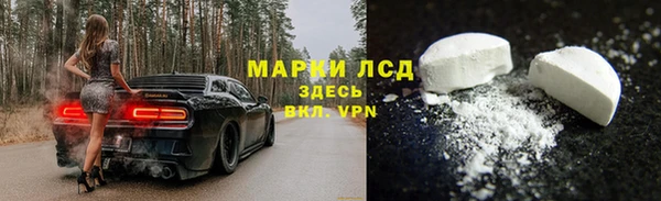 гидропоника Дмитриев