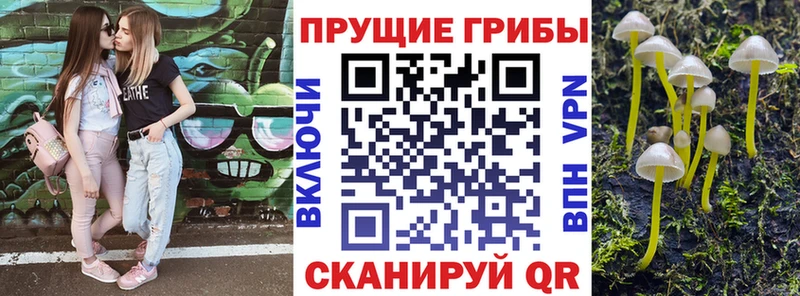 Купить где  Кириши  Галлюциногенные грибы MAGIC MUSHROOMS 